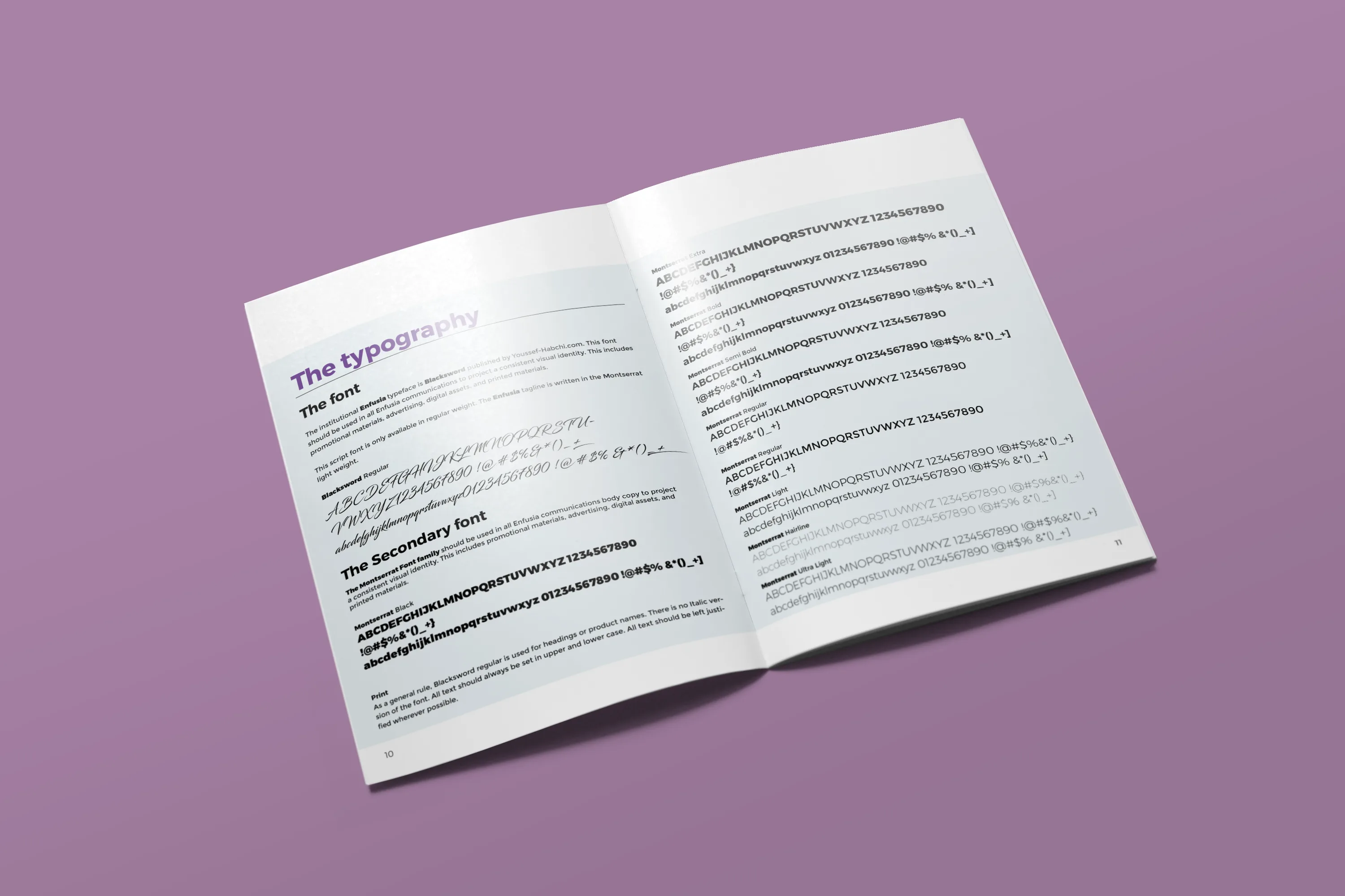 Enfusia product mockup