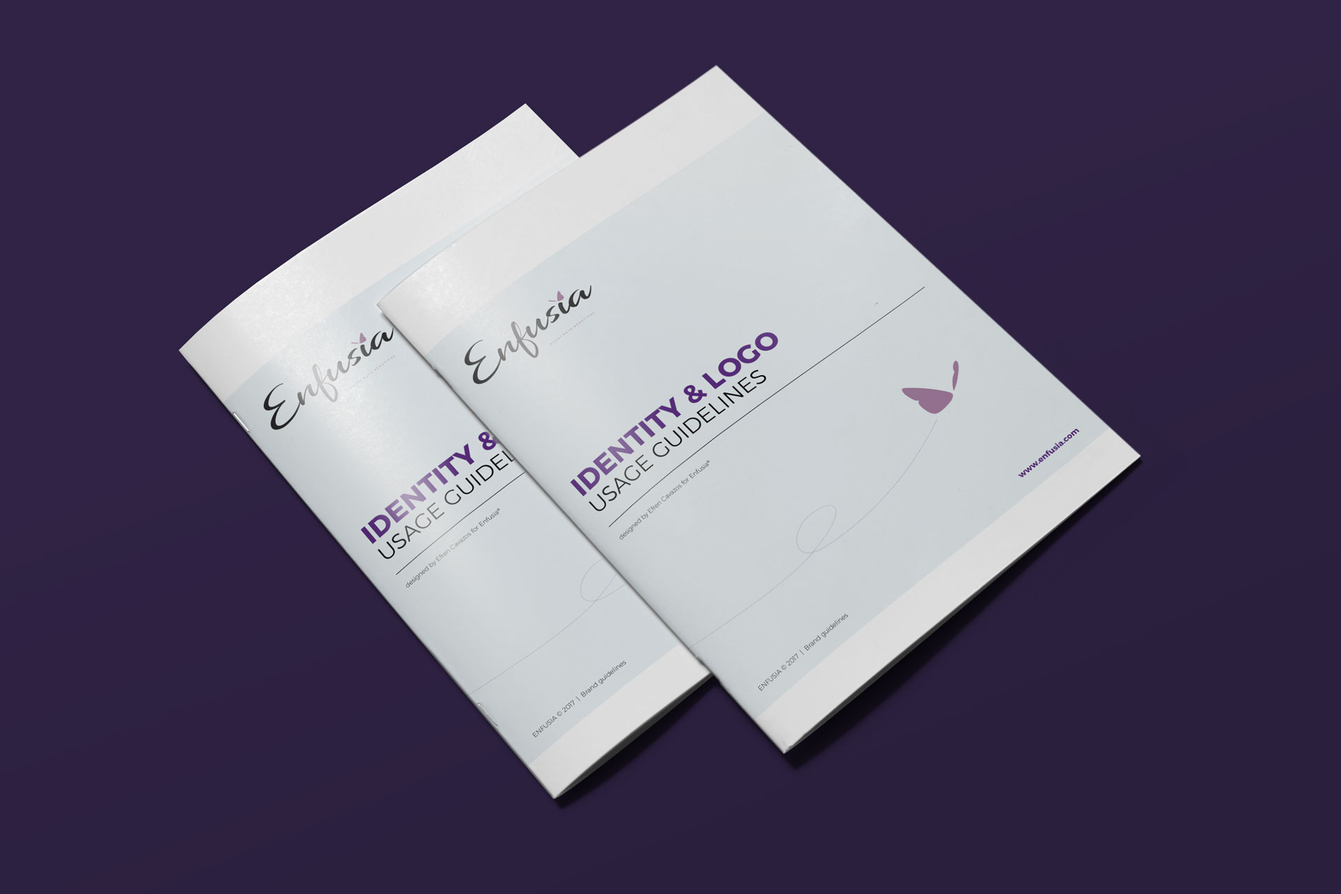 Enfusia Identity & Logo Usage Guidelines — brand guidelines cover mockup