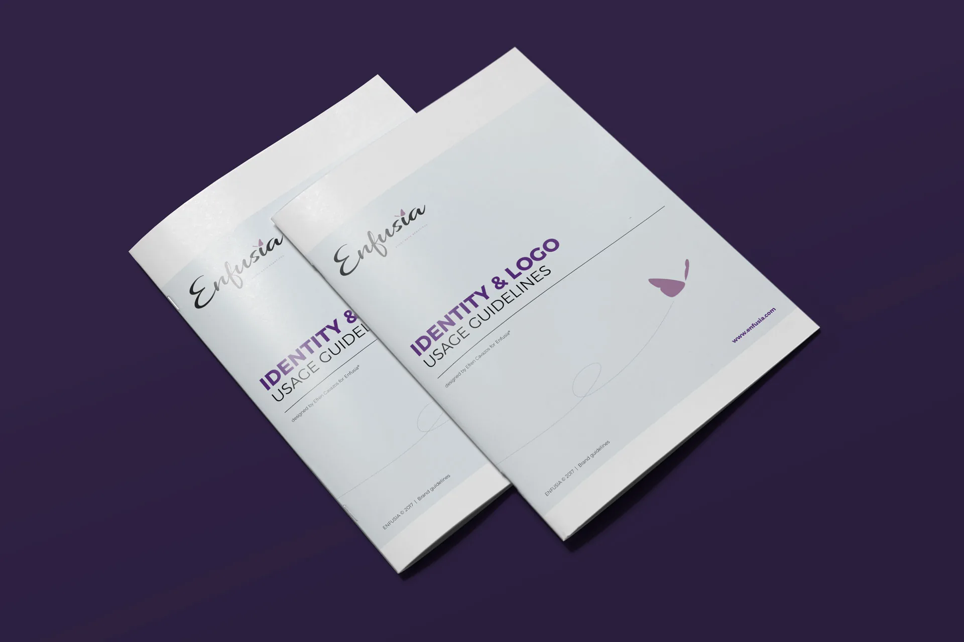 Enfusia Identity & Logo Usage Guidelines — brand guidelines cover mockup