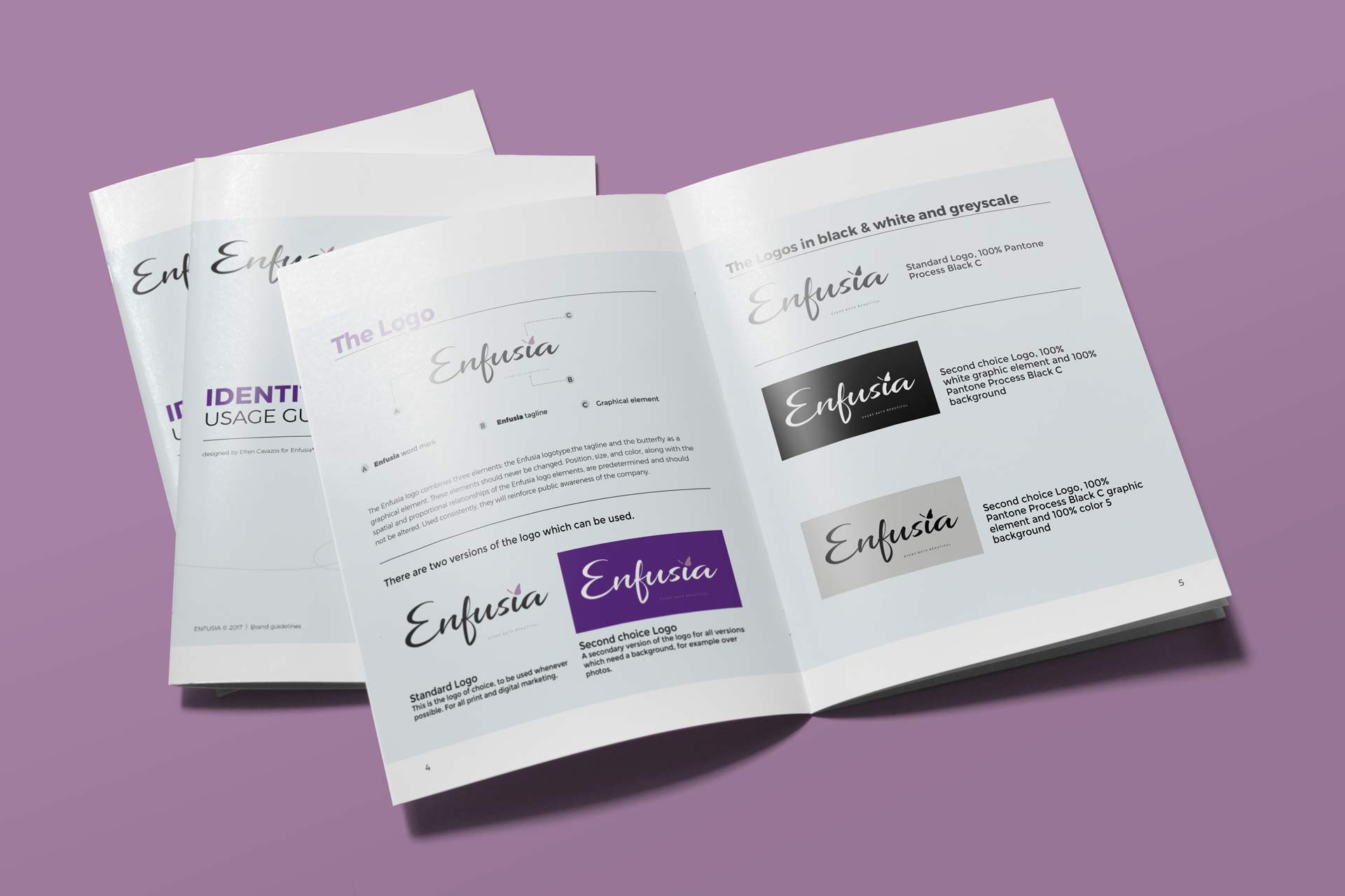 Enfusia brand guidelines — logo usage spread showing primary and secondary marks