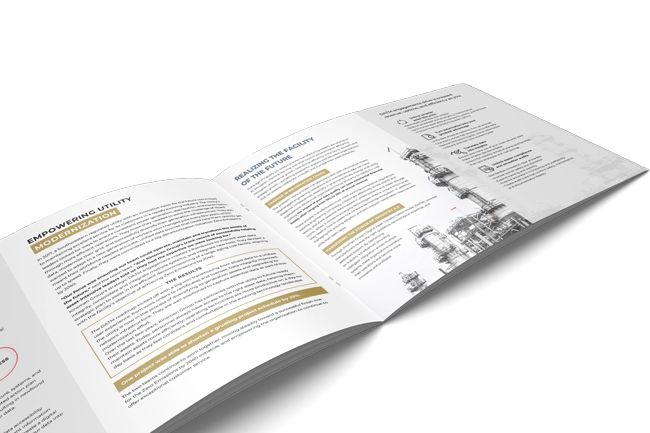 Brand guidelines spreads and shelf mockups