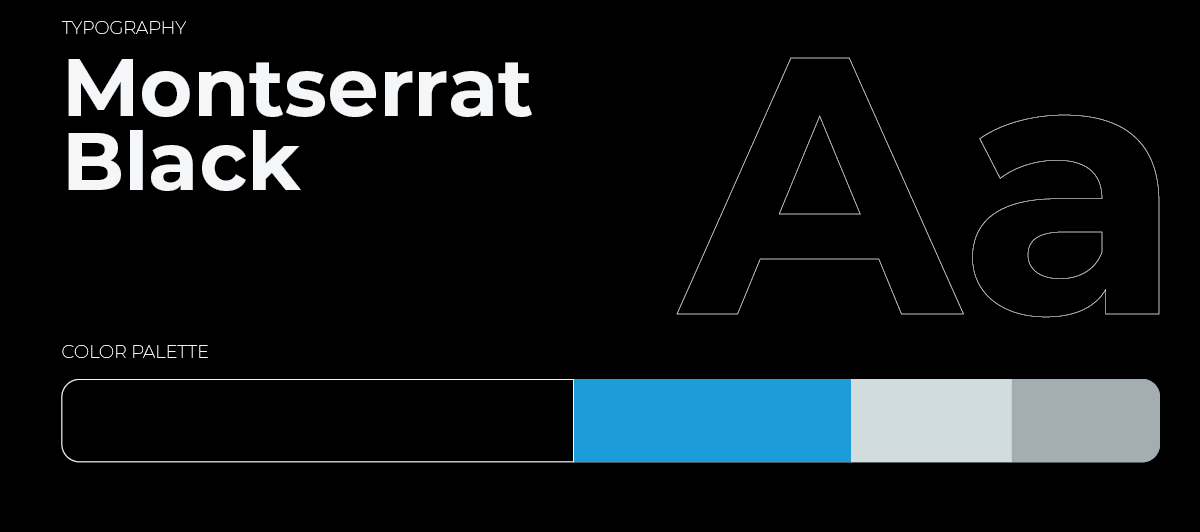 Muscle Rehab typography and color system