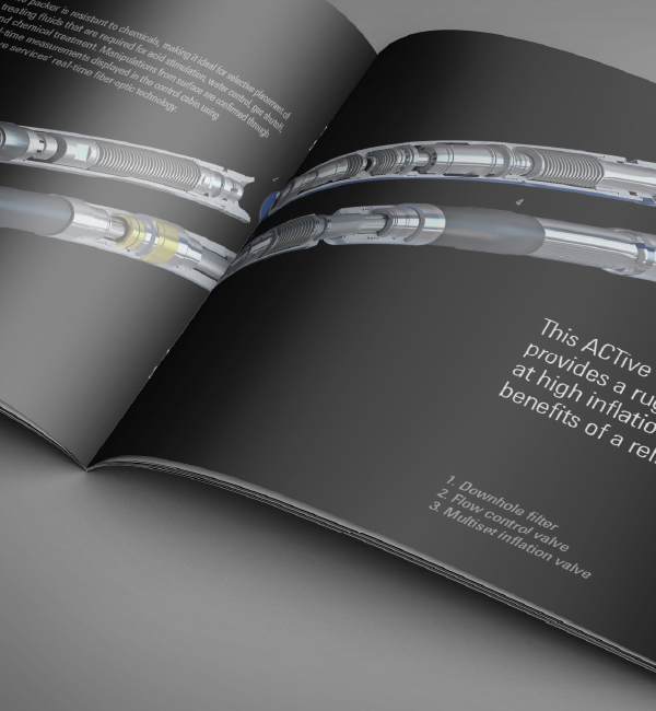 SLB brand guidelines detail